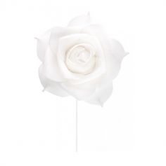Rose Romantique sur Tige - Blanc