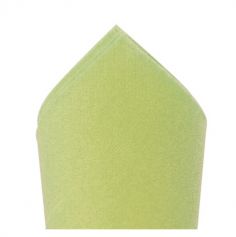 100 Serviettes Ouate de Cellulose 38 x 38 cm - Vert amande | jourdefete.com