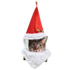 Chapeau de Père Noël pour Chat | jourdefete.com