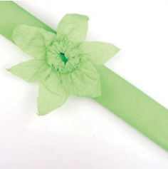 Rouleau papier crépon 10m – Vert Anis