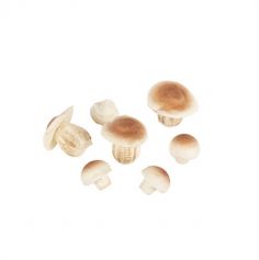 7 champignons en mousse deco automne | jourdefete.com