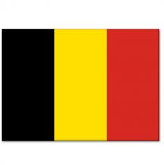 10 Drapeaux Belgique
