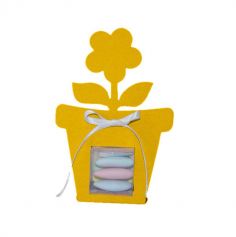 Boîte à Dragées Pot de Fleur "Vitamine" Coloris au Choix 