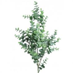 tige-eucalyptus-decoration-florale|jourdefete.com