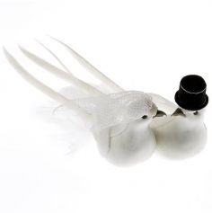 couple-colombe-mariage-blanc | jourdefete.com
