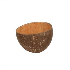10 Bols - Coconut - Noix de Coco - Biodégradable