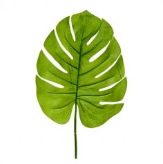 feuille-tropical-philodendron-jungle-palmier|jourdefete.com