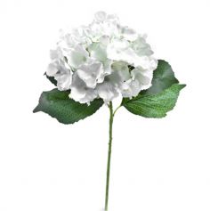 fleur-hortensia-tige-blanc-feuilles|jourdefete.com