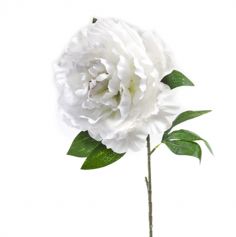 fleur-pivoine-blanc-avec-tige-80cm|jourdefete.com