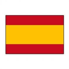 Lot de 10 drapeaux - Espagne
