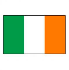 Lot de 10 drapeaux - Irlande