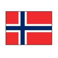 Lot de 10 drapeaux - Norvege