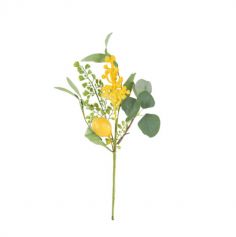 branche de citron, mimosa et feuillage - 40 cm