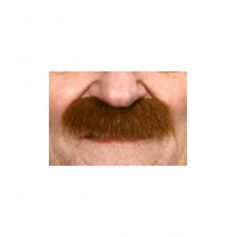 Moustache "Brosse" - Roux