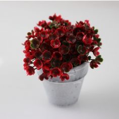 Décoration Plante Grasse en pot en céramique - Rouge
