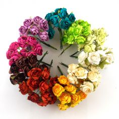 Petit Bouquet de 12 Roses - Coloris au Choix