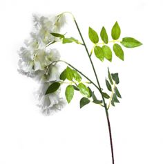fleur-campanule-avec-tige-blanc-80cm|jourdefete.com