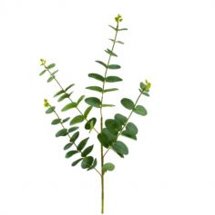 feuille-eucalyptus-decoration-vert | jourdefete.com