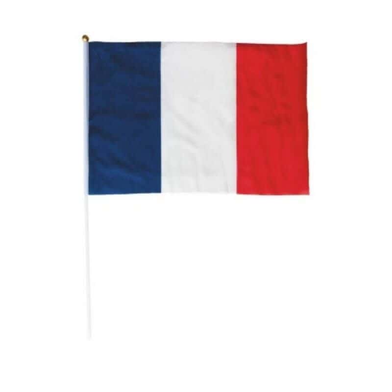 Petit drapeau Tricolore France sur Hampe