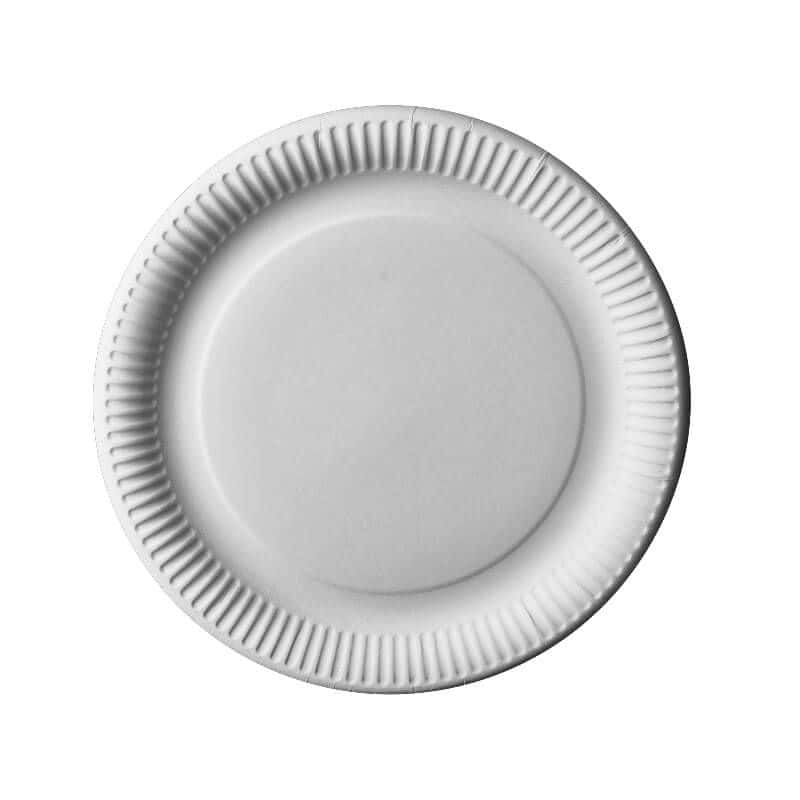 12 Assiettes en Carton - 29 cm - Blanc - Pure - Jour de Fête
