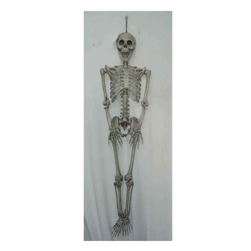 Petit Squelette Articulé à suspendre - Jour de Fête - Squelettes