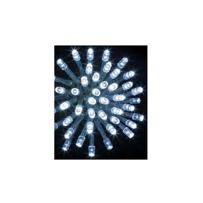 Guirlande Electrique Lumineuse - Intérieur / Extérieur - Blanc Froid - 100  LED - Jour de Fête - Guirlandes lumineuses - Décoration Extérieure