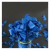 canon-confettis-fete-bleu-roi | jourdefete.com