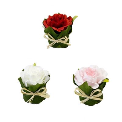 Rose pot feuillage - Coloris au choix | jourdefete.com