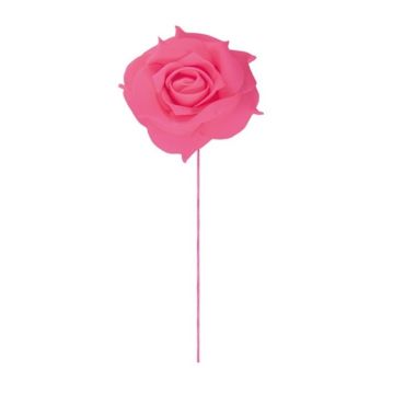 2 Roses sur Tige - Fuchsia