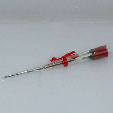 Rose Odorante - Rouge