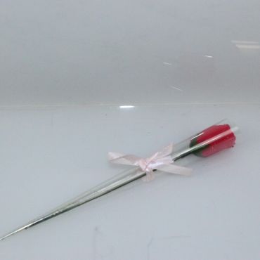 Rose Odorante - Rose