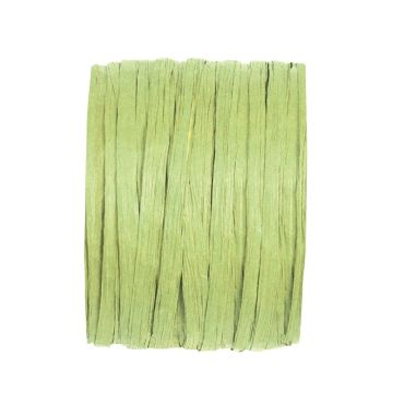 Bobine de Raphia Papier Vert Amande