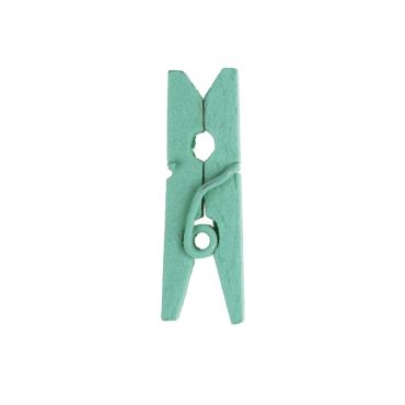 24 Mini Pinces en Bois - Vert Menthe