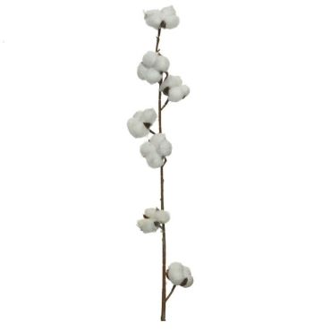 branche-coton-decoration | jourdefete.com