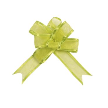 5 Nœuds Automatiques Organdi Petit Modèle - Vert 5 Nœuds Automatiques Organdi Petit Modèle - Vert