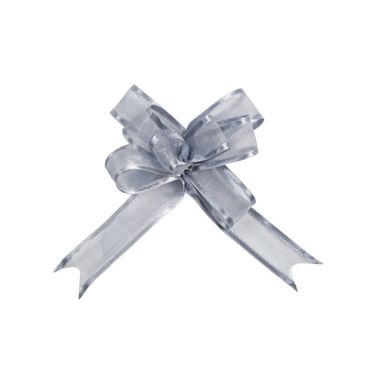 5 Nœuds Automatiques Organdi Petit Modèle - Argent