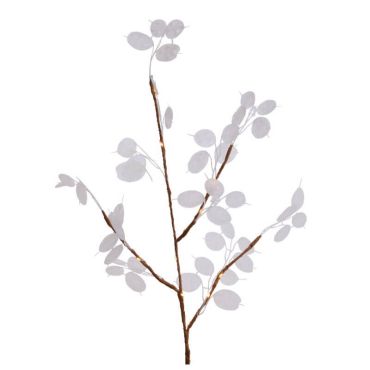 branche-monnaie-pape-led | jourdefete.com branche-monnaie-pape-led | jourdefete.com