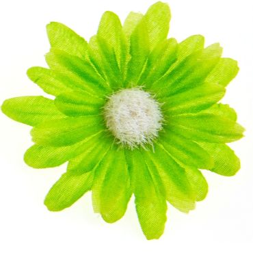 6 Marguerites en Tissu - Tilleul