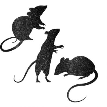 Silhouettes Rats Noirs Paillettées