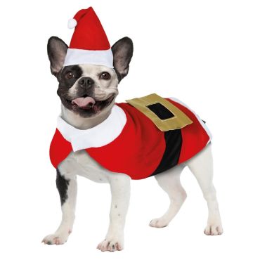 Chien déguisé en Père Noël avec bonnet et manteau rouge | jourdefete.com Chien déguisé en Père Noël avec bonnet et manteau rouge | jourdefete.com