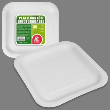 Assiettes biodégradables en carton blanc de 23 cm | jourdefete.com