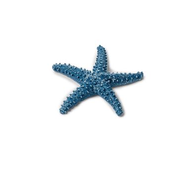 Etoile de Mer Adhésive - Bleu