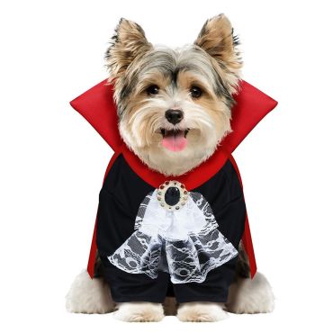 Petit chien portant un costume de vampire noir et rouge avec un jabot en dentelle pour Halloween | jourdefete.com Petit chien portant un costume de vampire noir et rouge avec un jabot en dentelle pour Halloween | jourdefete.com