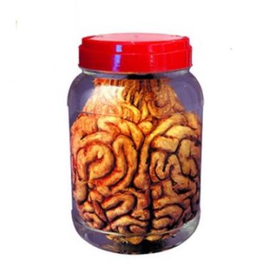 Cerveau factice dans un bocal