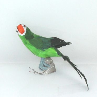 Perroquet Vert - 34 cm Perroquet Vert - 34 cm