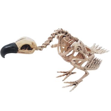 Décoration Halloween - Squelette de Vautour à Poser Décoration Halloween - Squelette de Vautour à Poser