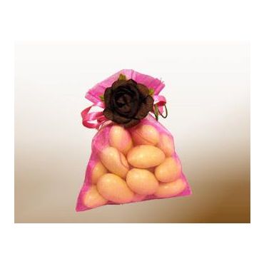 Bourse Organdi Fuchsia