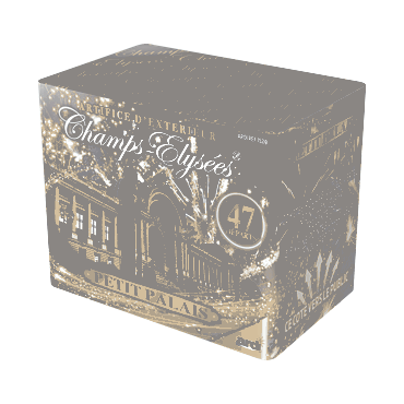 Boîte de feu d'artifice d'extérieur Champs-Elysées Petit Palais 47 départs avec effets colorés | jourdefete.com