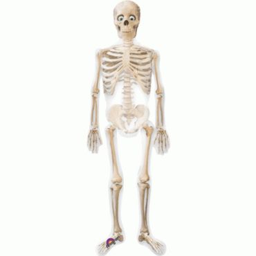 Ballon Hélium Halloween AirWalker Squelette Géant