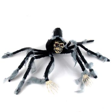 Araignée sorcière noire